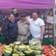Fruit and veg stall, Hounslow market