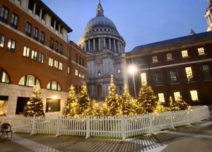 244257981_245022564333541_6524693657153345837_n